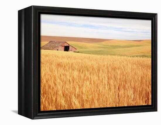 Sprawling Wheat Field-Terry Eggers-Framed Premier Image Canvas