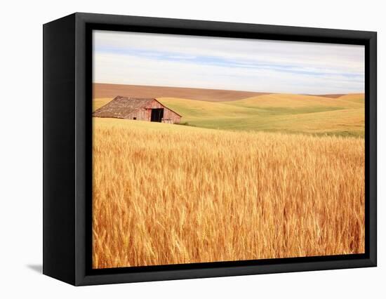 Sprawling Wheat Field-Terry Eggers-Framed Premier Image Canvas