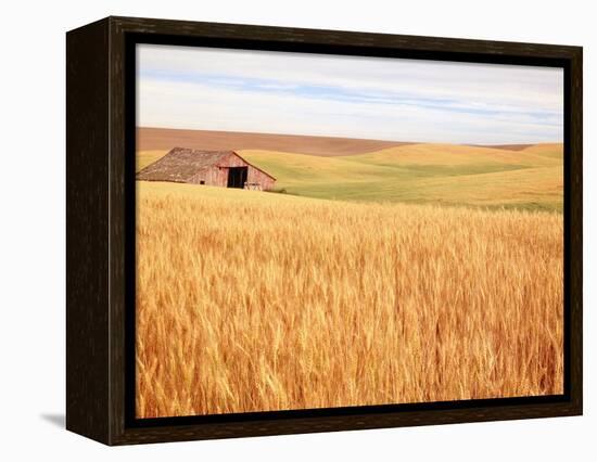 Sprawling Wheat Field-Terry Eggers-Framed Premier Image Canvas