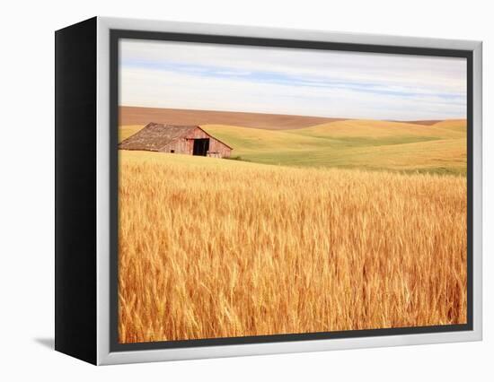 Sprawling Wheat Field-Terry Eggers-Framed Premier Image Canvas