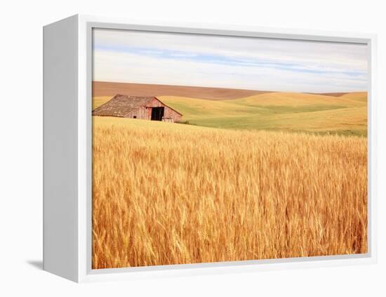 Sprawling Wheat Field-Terry Eggers-Framed Premier Image Canvas