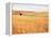 Sprawling Wheat Field-Terry Eggers-Framed Premier Image Canvas