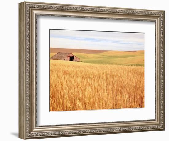 Sprawling Wheat Field-Terry Eggers-Framed Photographic Print