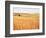 Sprawling Wheat Field-Terry Eggers-Framed Photographic Print