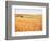 Sprawling Wheat Field-Terry Eggers-Framed Photographic Print