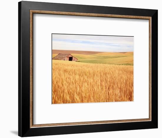 Sprawling Wheat Field-Terry Eggers-Framed Photographic Print