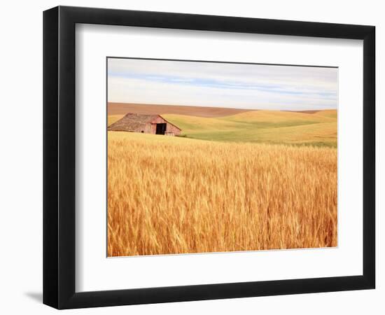 Sprawling Wheat Field-Terry Eggers-Framed Photographic Print