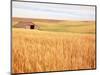 Sprawling Wheat Field-Terry Eggers-Mounted Photographic Print