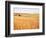 Sprawling Wheat Field-Terry Eggers-Framed Photographic Print