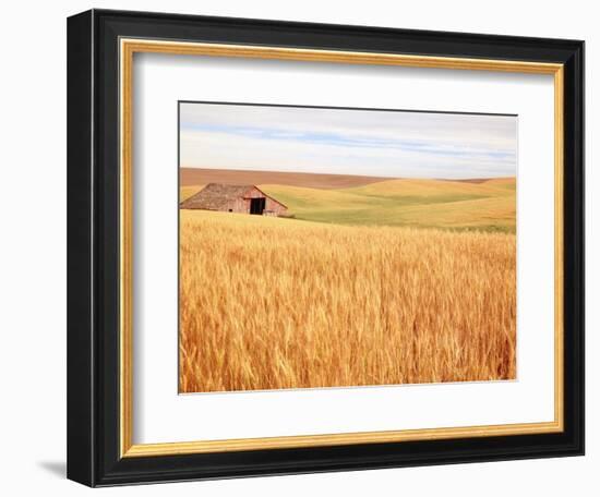 Sprawling Wheat Field-Terry Eggers-Framed Photographic Print