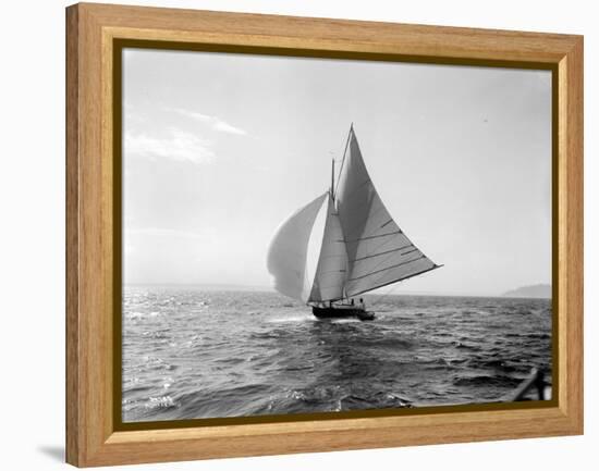 Spray, 1914-Asahel Curtis-Framed Premier Image Canvas