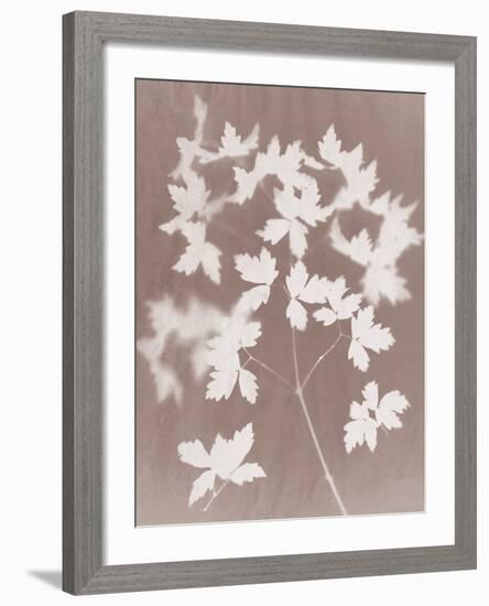 Spray in Grey-Sarah Cheyne-Framed Giclee Print