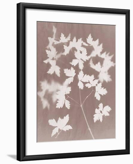 Spray in Grey-Sarah Cheyne-Framed Giclee Print