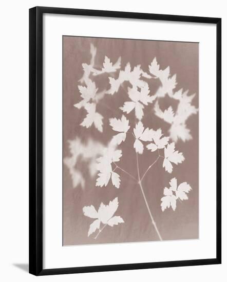 Spray in Grey-Sarah Cheyne-Framed Giclee Print