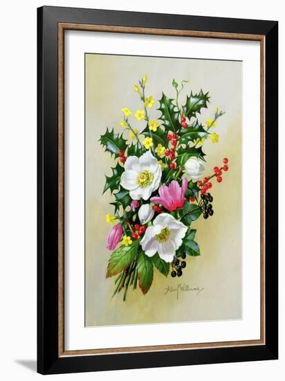Spray of Dogrose, Holly, Mistletoe and Larkspur-Albert Williams-Framed Giclee Print