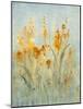 Spray of Wildflowers II-Tim O'toole-Mounted Art Print