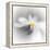 Spray-Ursula Abresch-Framed Premier Image Canvas