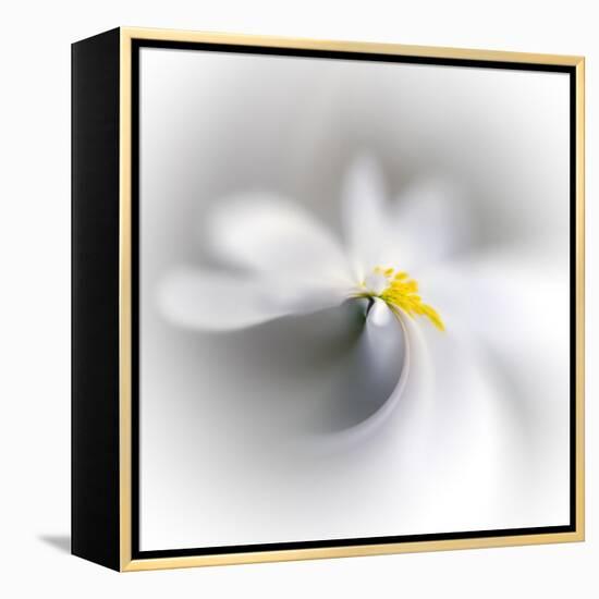 Spray-Ursula Abresch-Framed Premier Image Canvas