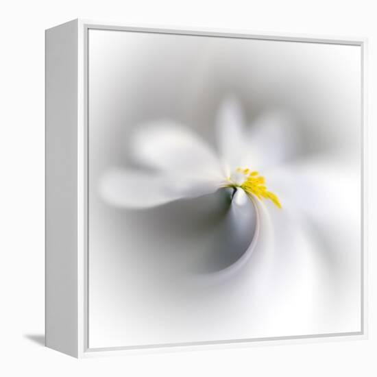 Spray-Ursula Abresch-Framed Premier Image Canvas