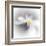 Spray-Ursula Abresch-Framed Premium Photographic Print