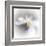 Spray-Ursula Abresch-Framed Premium Photographic Print