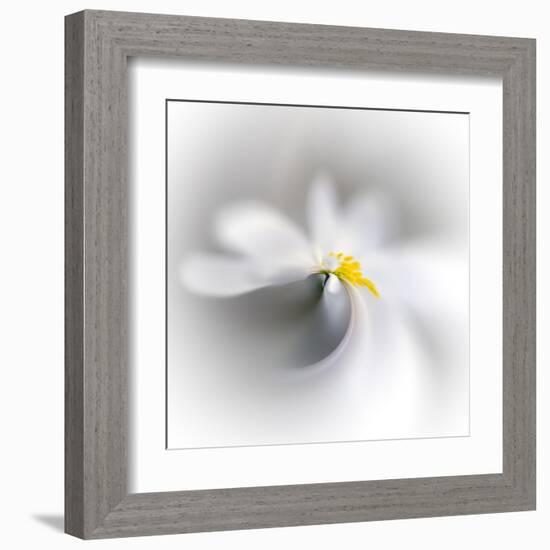 Spray-Ursula Abresch-Framed Premium Photographic Print