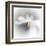 Spray-Ursula Abresch-Framed Premium Photographic Print