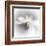 Spray-Ursula Abresch-Framed Premium Photographic Print