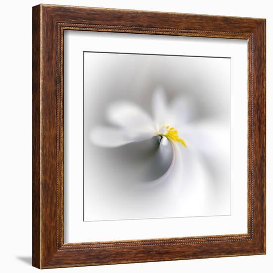 Spray-Ursula Abresch-Framed Premium Photographic Print