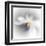 Spray-Ursula Abresch-Framed Premium Photographic Print