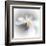 Spray-Ursula Abresch-Framed Premium Photographic Print