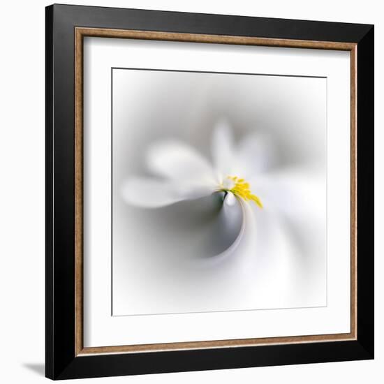 Spray-Ursula Abresch-Framed Premium Photographic Print