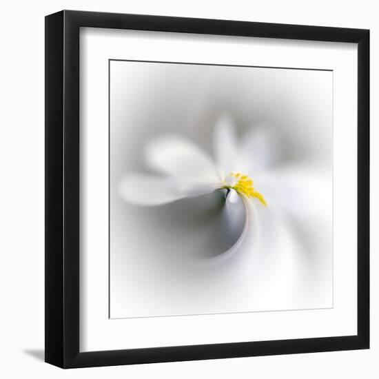 Spray-Ursula Abresch-Framed Premium Photographic Print