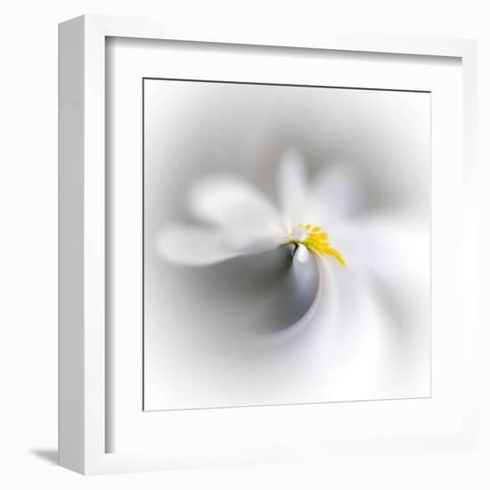 Spray-Ursula Abresch-Framed Premium Photographic Print