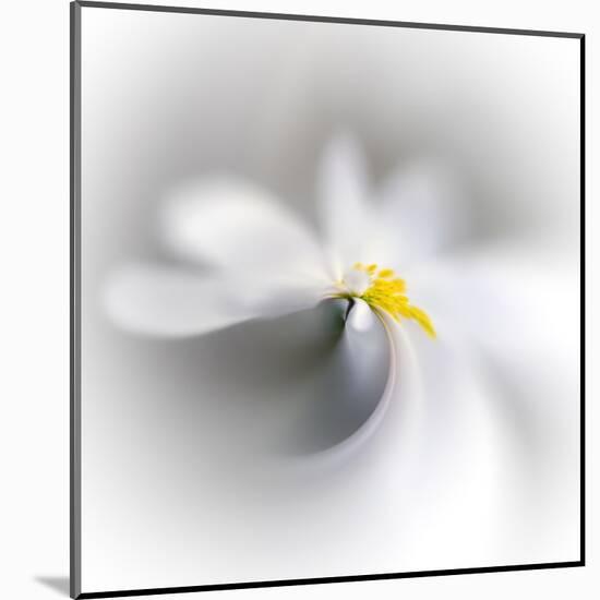 Spray-Ursula Abresch-Mounted Premium Photographic Print