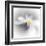 Spray-Ursula Abresch-Framed Premium Photographic Print