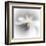 Spray-Ursula Abresch-Framed Premium Photographic Print