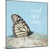 Spread Your Wings-Susannah Tucker-Mounted Art Print