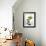 Sprig of Eucalyptus-null-Framed Photographic Print displayed on a wall