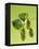 Sprig of Hops-Ludger Rose-Framed Premier Image Canvas