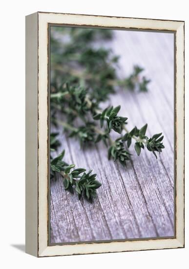 Sprigs of Thyme-Maxine Adcock-Framed Premier Image Canvas