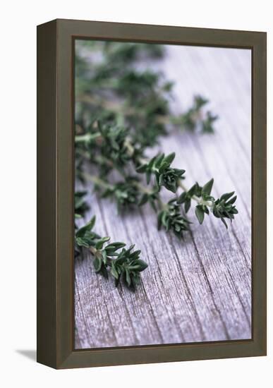 Sprigs of Thyme-Maxine Adcock-Framed Premier Image Canvas