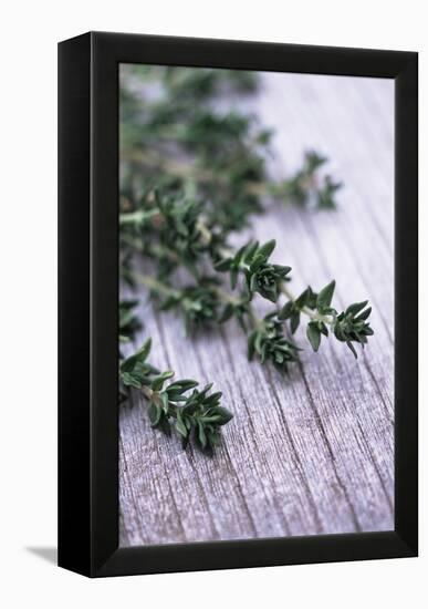 Sprigs of Thyme-Maxine Adcock-Framed Premier Image Canvas