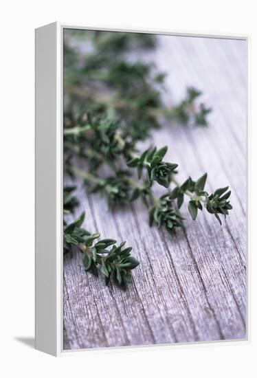 Sprigs of Thyme-Maxine Adcock-Framed Premier Image Canvas