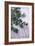 Sprigs of Thyme-Maxine Adcock-Framed Photographic Print