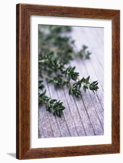 Sprigs of Thyme-Maxine Adcock-Framed Photographic Print