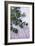 Sprigs of Thyme-Maxine Adcock-Framed Photographic Print