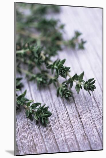 Sprigs of Thyme-Maxine Adcock-Mounted Photographic Print