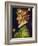 Spring, 1563-Giuseppe Arcimboldo-Framed Giclee Print