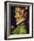 Spring, 1563-Giuseppe Arcimboldo-Framed Giclee Print